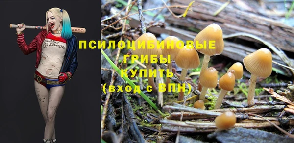 мяу мяу мука Армянск