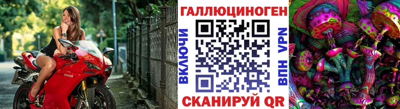 закладка  Белореченск  Галлюциногенные грибы GOLDEN TEACHER 